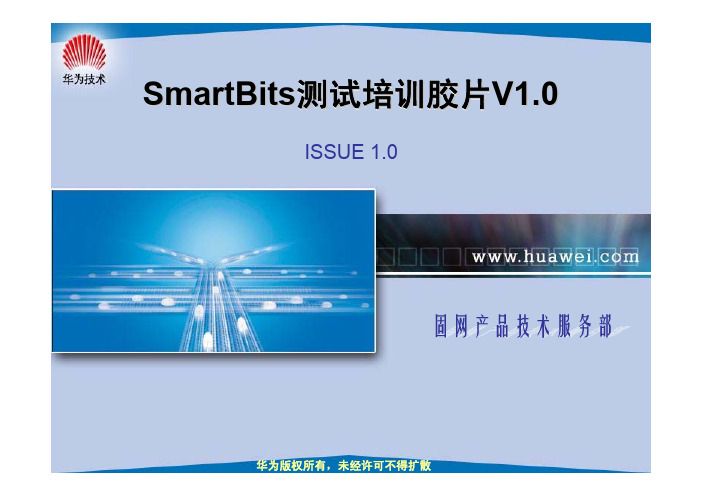 Smartbits测试高级培训