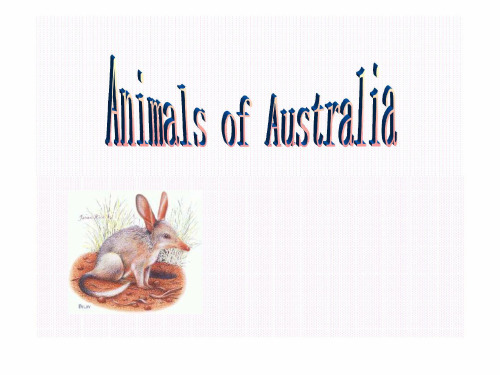 澳大利亚植物介绍 australia animals(英文)[整理版]