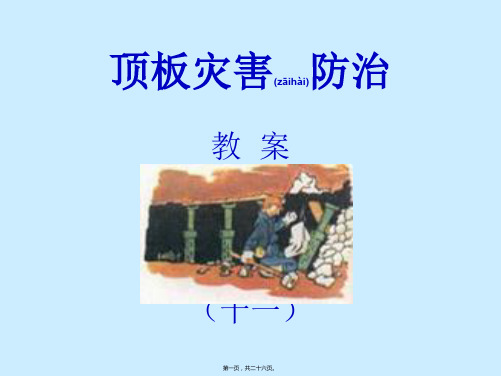 (11)顶板灾害防治