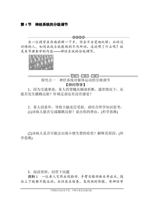 新教材2020-2021学年生物选择性必修1学案:2.4 神经系统的分级调节