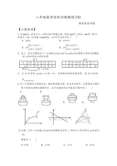 2016-2017八年级数学培优训练教程15