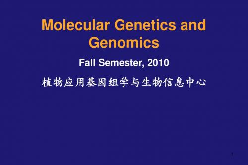 分子生物学基因组转录组蛋白组ppt课件