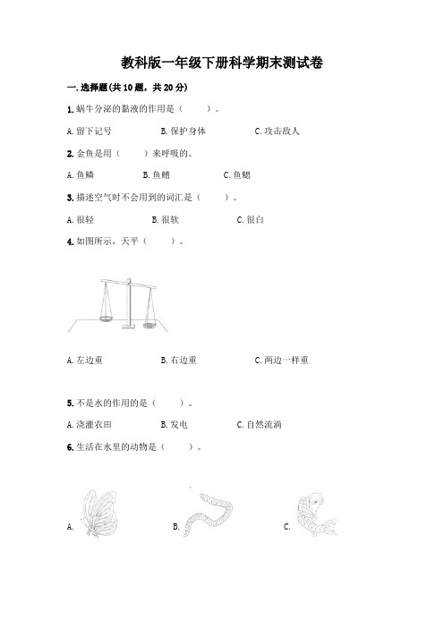 教科版一年级下册科学期末测试卷附参考答案(考试直接用)