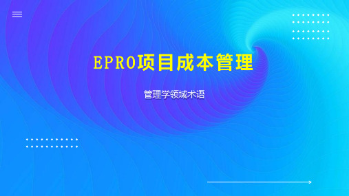 EPRO项目成本管理