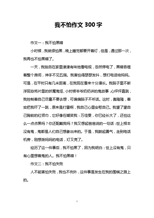 我不怕作文300字