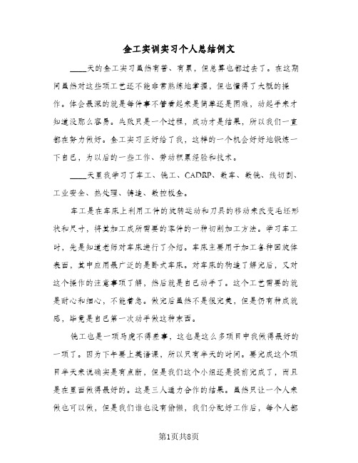 金工实训实习个人总结例文（二篇）