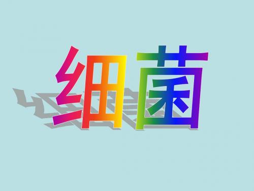 细菌 (课件PPT)