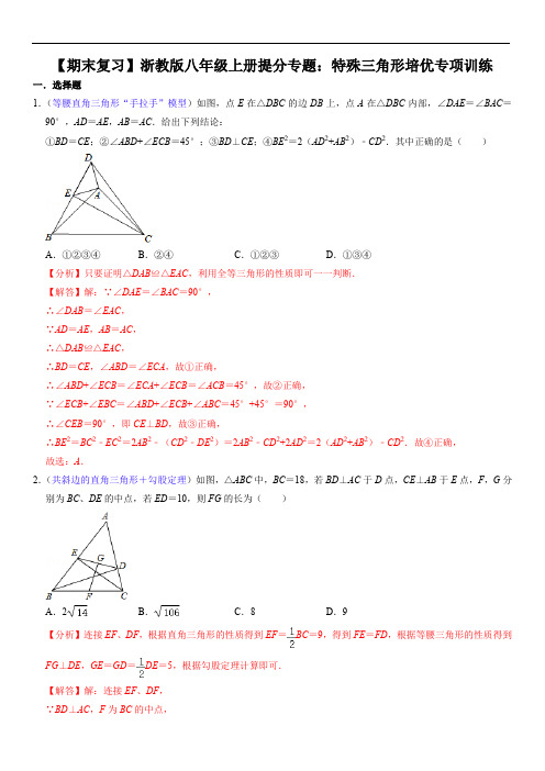 特殊三角形培优专项训练(解析版)