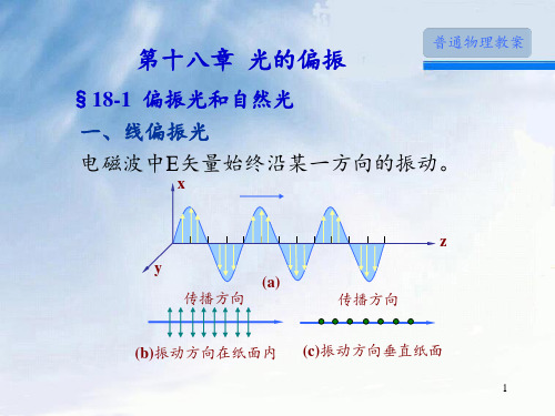 光的偏振.PPT