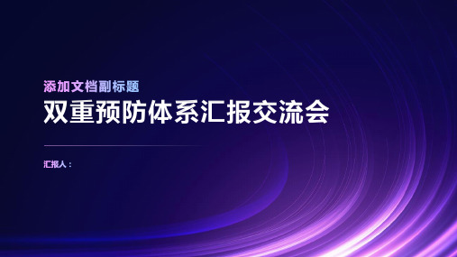 双重预防体系汇报交流会