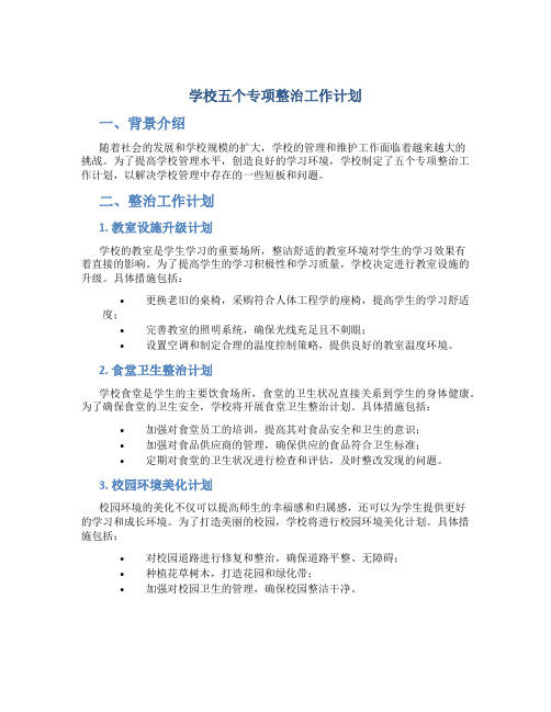 学校五个专项整治工作计划