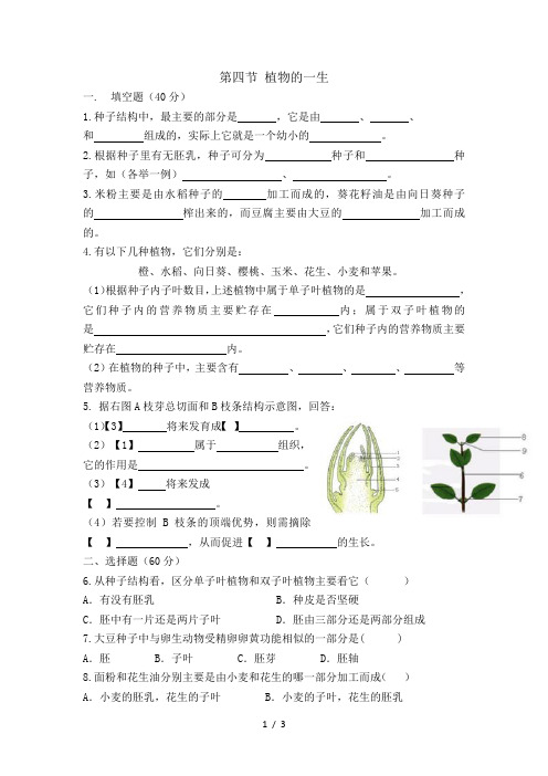 第四节 植物的一生练习题