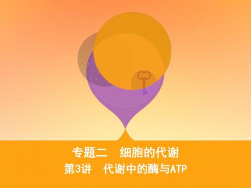 2019高考生物二轮复习第3讲代谢中的酶与ATP课件
