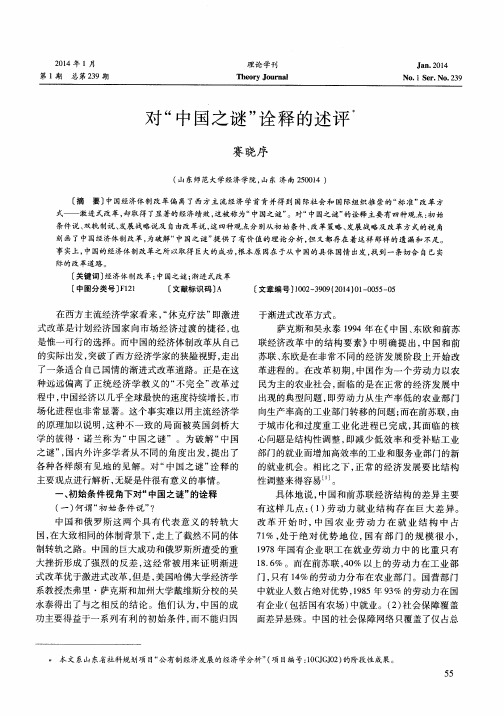 对“中国之谜”诠释的述评