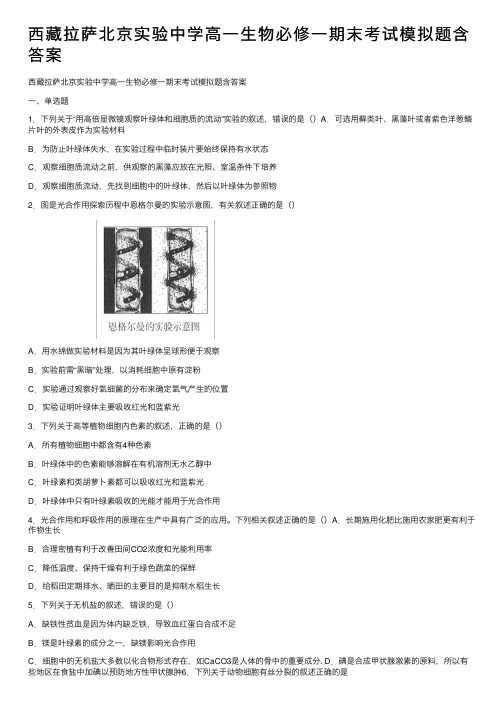 西藏拉萨北京实验中学高一生物必修一期末考试模拟题含答案