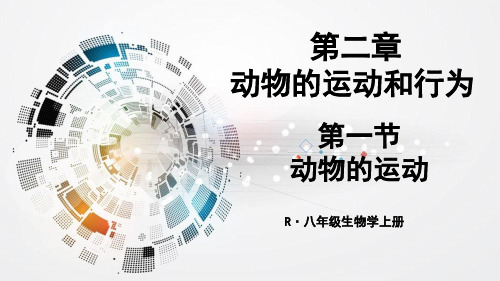 人教版八年级上册生物第二章动物的运动和行为第一节动物的运动课件