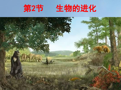 八年级生物下册 21.2 生物的进化课件1 (新版)北师大版