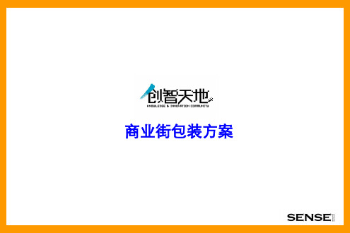 包装印刷某商业街包装方案