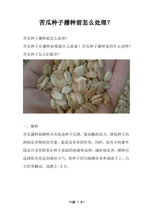 苦瓜种子播种前怎么处理？