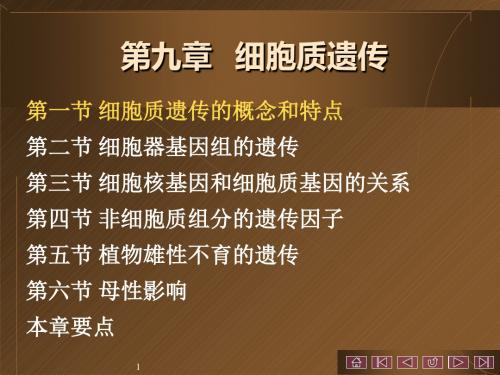 第八章 核外遗传-PPT文档资料