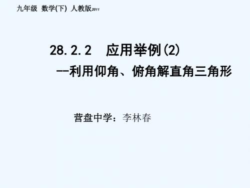 数学人教版九年级下册28.2.2  应用举例