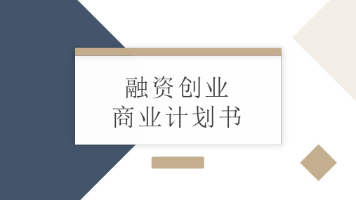 灰色大气融资创业商业计划书模板