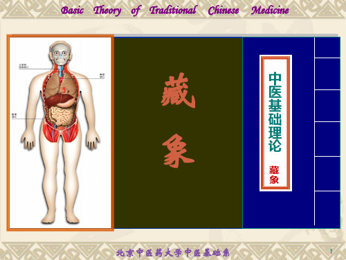 03、藏象学说-心