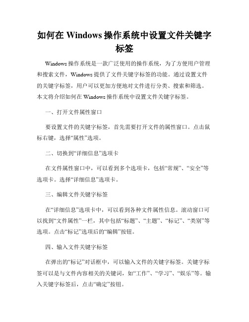 如何在Windows操作系统中设置文件关键字标签