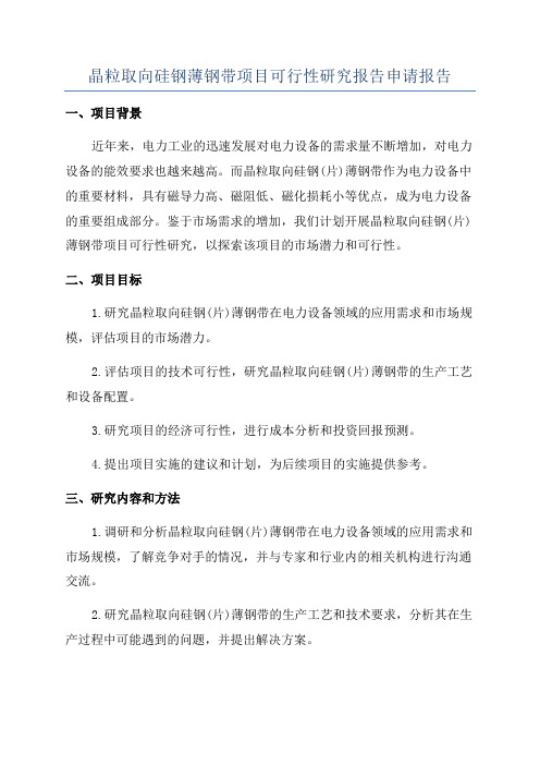 晶粒取向硅钢薄钢带项目可行性研究报告申请报告