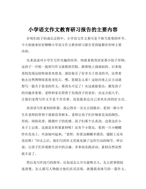 小学语文作文教育研习报告的主要内容