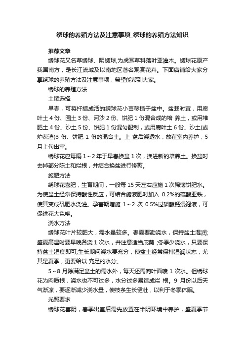 绣球的养殖方法及注意事项_绣球的养殖方法知识