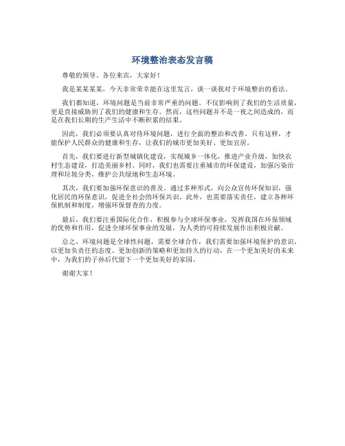 环境整治表态发言稿