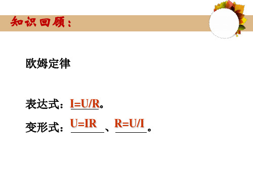 《电阻的测量》课件PPT2