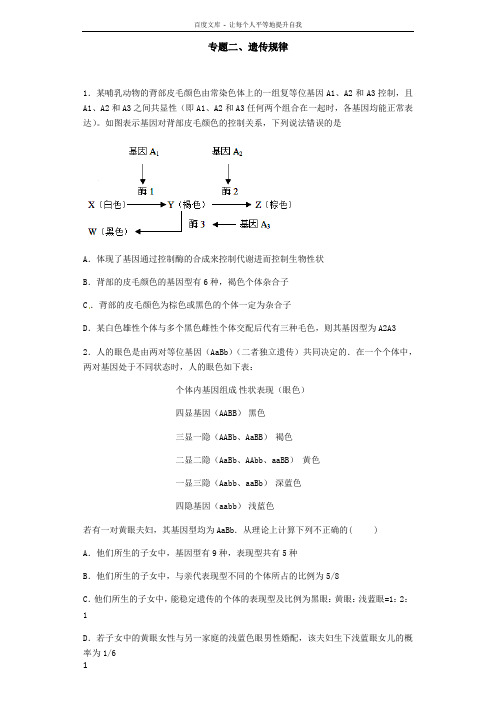 专题二遗传规律经典例题