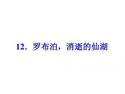 人教版八年级语文下册习题课件 12.罗布泊,消逝的仙湖