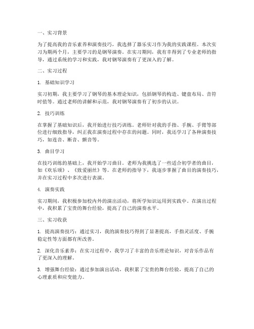 器乐实习报告