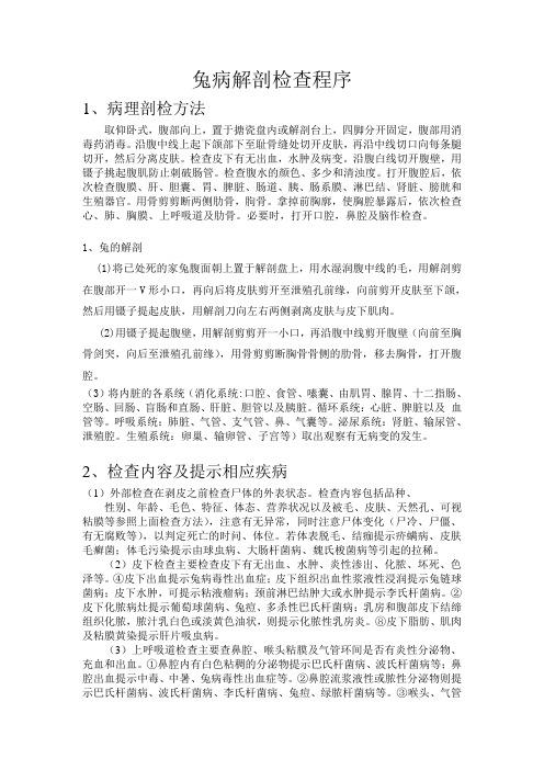 家兔的一般解剖程序及提示病