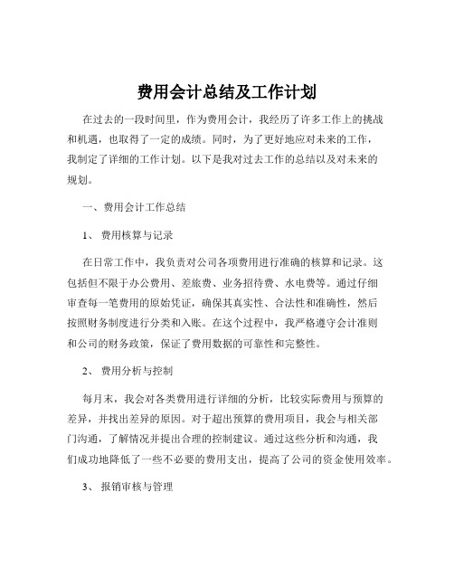 费用会计总结及工作计划