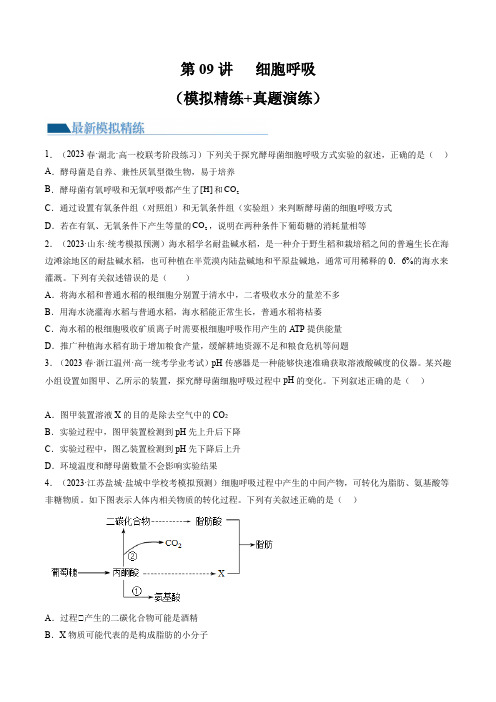 2024年高考生物一轮复习讲练测(新教材新高考)第9讲 细胞呼吸(练习)(原卷版+答案解析)