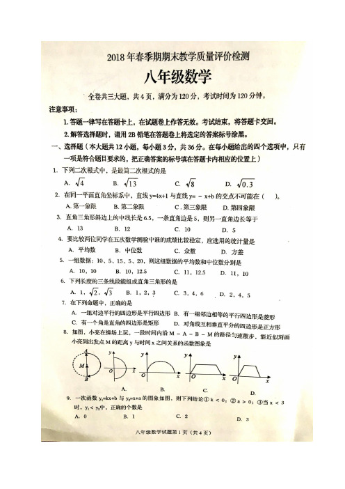 广西北流市2017-2018学年八年级下学期期末考试数学试题(图片版)