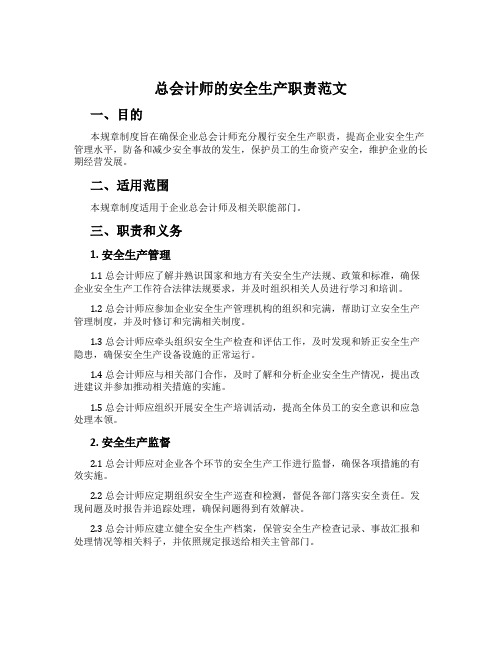 总会计师的安全生产职责范文