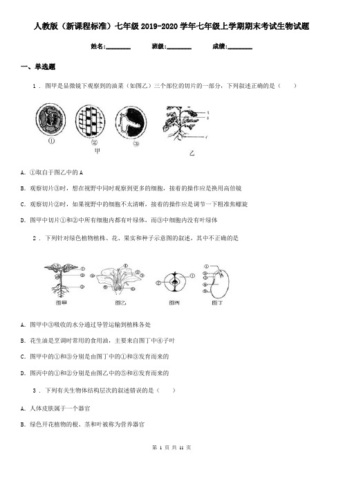 人教版(新课程标准)七年级2019-2020学年七年级上学期期末考试生物试题