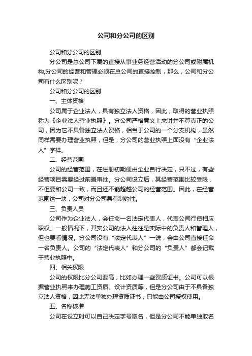 公司和分公司的区别