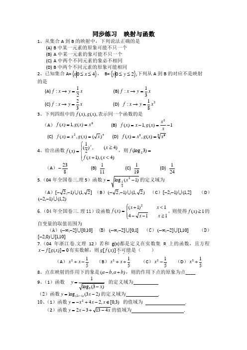 数学高中数学专练：映射与函数