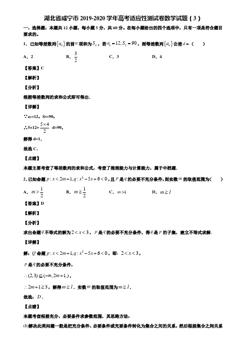 湖北省咸宁市2019-2020学年高考适应性测试卷数学试题(3)含解析