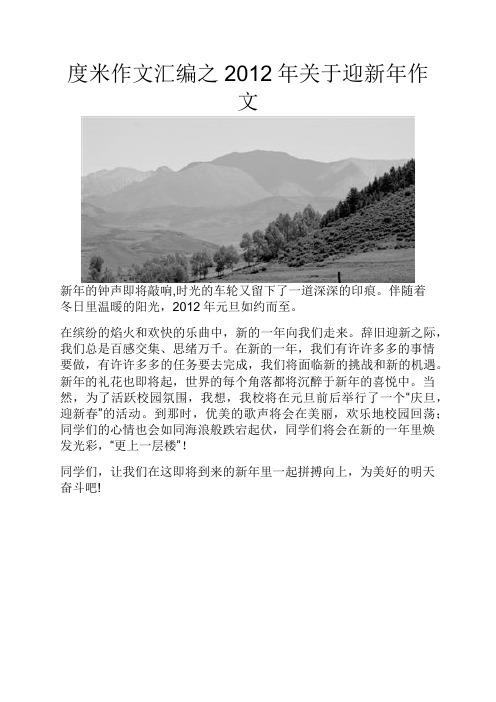度米作文汇编之2012年关于迎新年作文