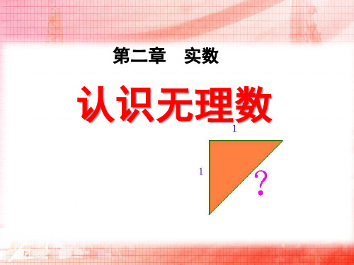 最新北师大版八年级数学上册《认识无理数》优质教学课件