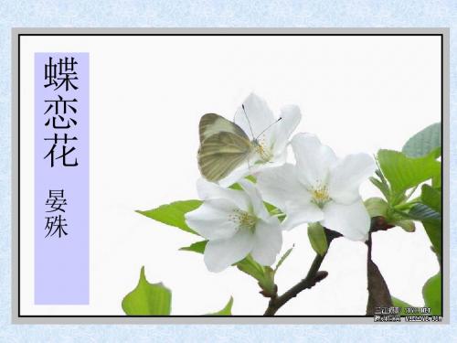 蝶恋花·槛菊愁烟兰泣露 PPT课件9