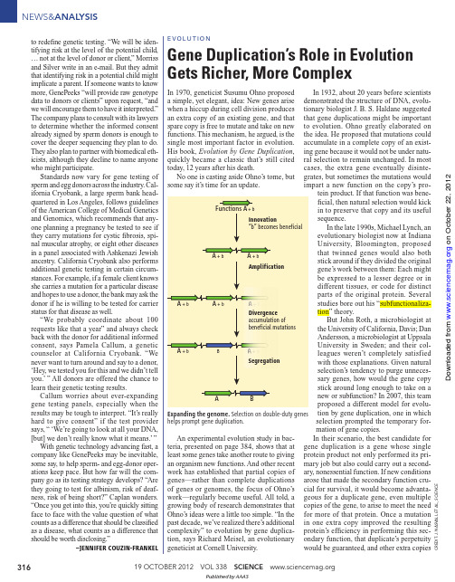 Gene Duplication’s Role in Evolution  Gets Richer, More Complex