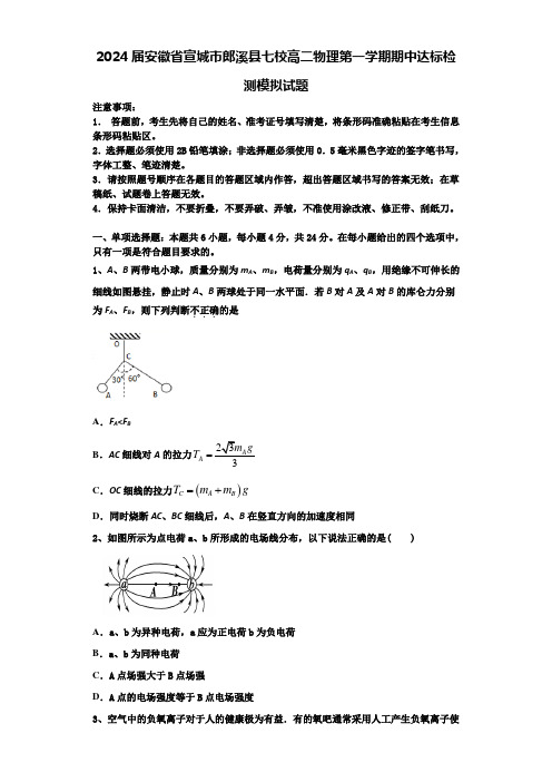 2024届安徽省宣城市郎溪县七校高二物理第一学期期中达标检测模拟试题含解析